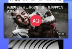 啪啪短视频哪能看,揭秘观看途径与热门内容