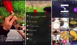 南京 短视频,穿越古都时光，尽览金陵风华
